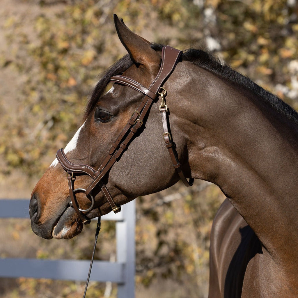 Deauville - Brown Leather Anatomical Jumper Bridle