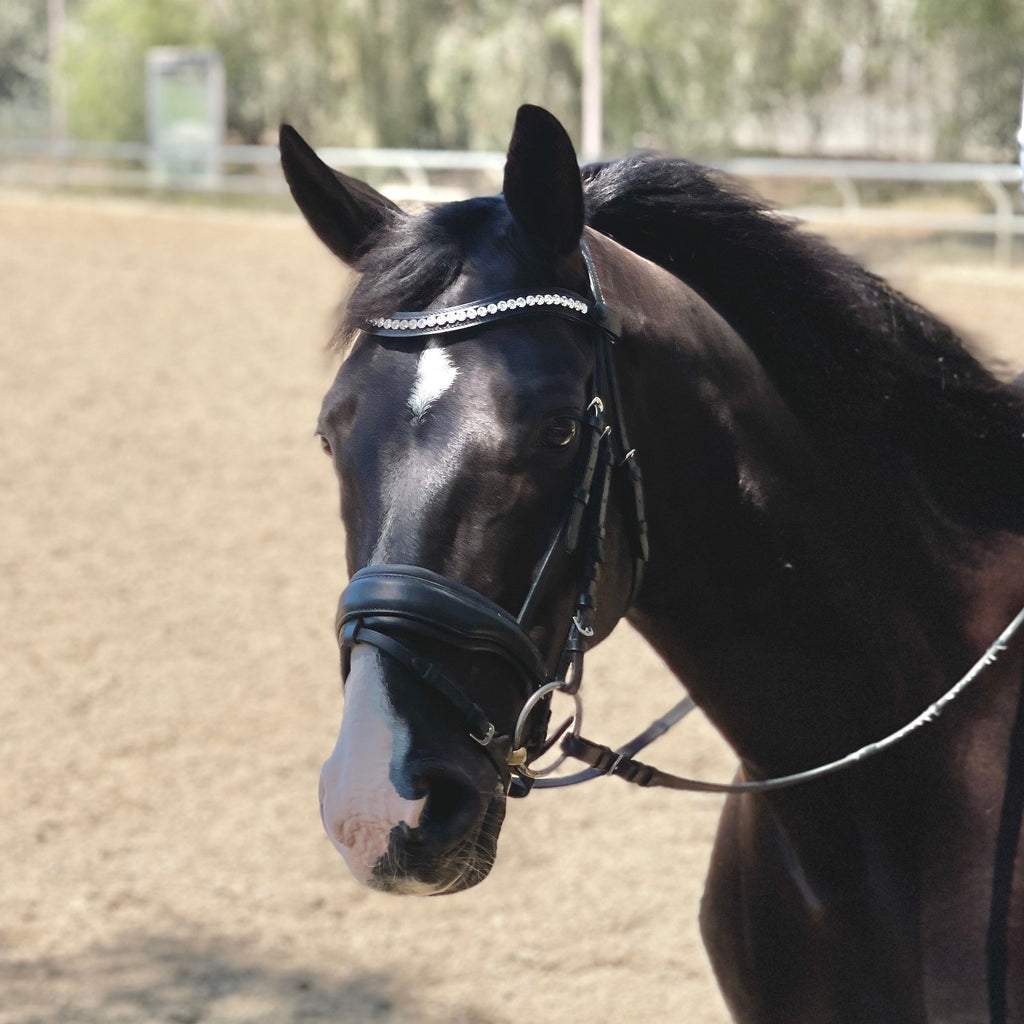 The Brixton Snaffle Bridle - Black Leather Anatomical Snaffle Bridle