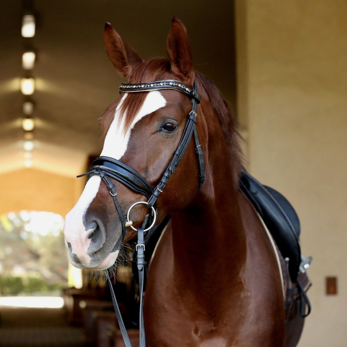Lyamora Limited Edition Black Patent Snap Browband
