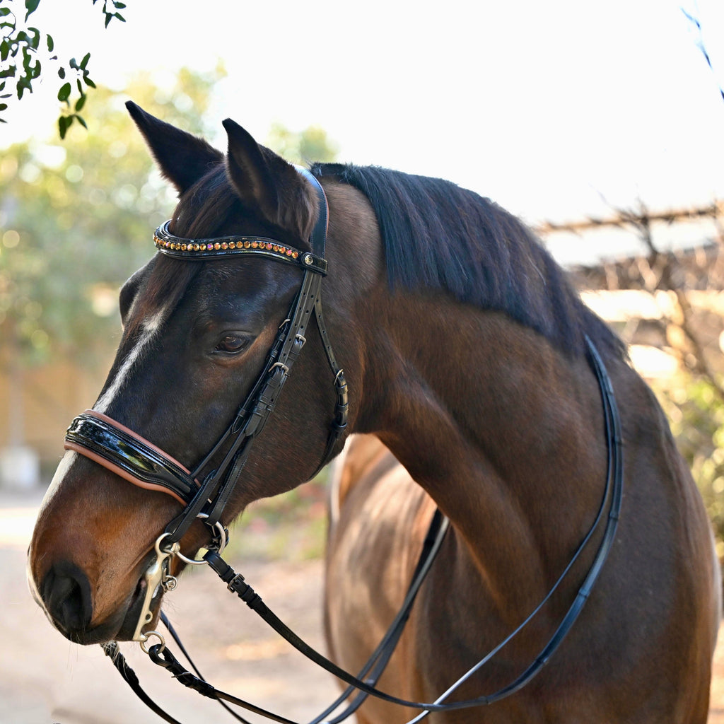 🤎 The Umbria Rolled Black Patent Leather Double Bridle