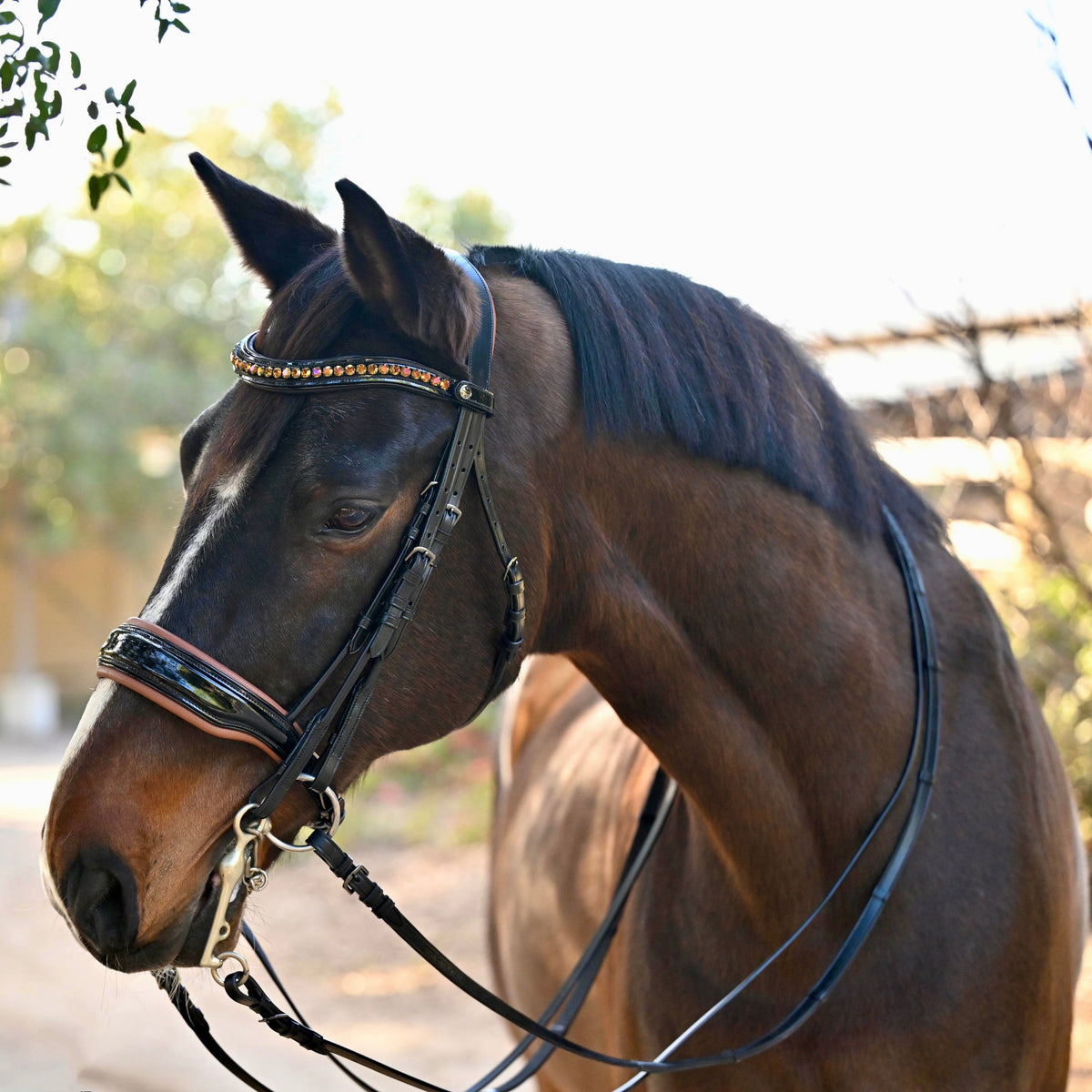 🤎 The Umbria Rolled Black Patent Leather Double Bridle