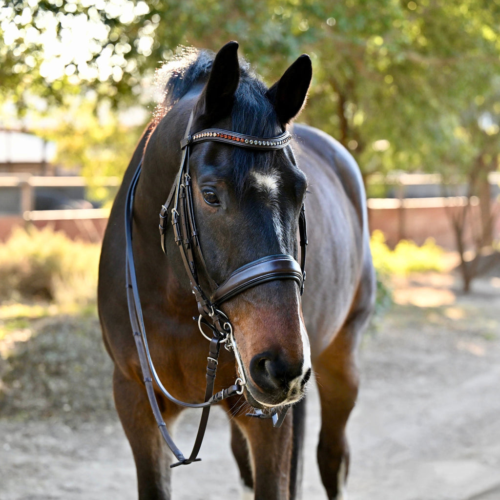 The Sarah - Maple Brown Leather Double Bridle