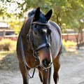 The Sarah - Maple Brown Leather Double Bridle
