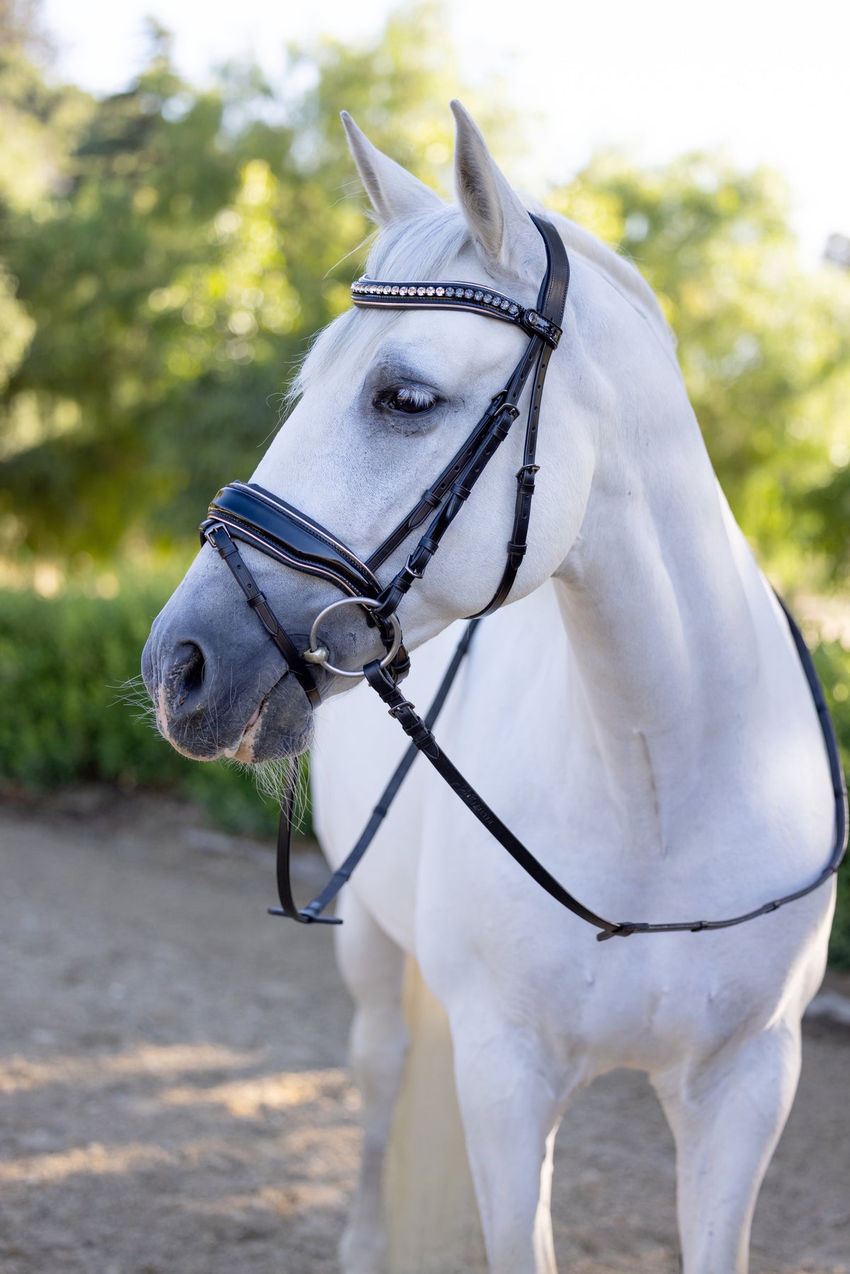 🖤 The Gotham Black Patent Snaffle Bridle – Patent Leather | Croc Print | Ombre Austrian Crystal Browband