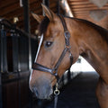 Sarah Brown Leather Halter