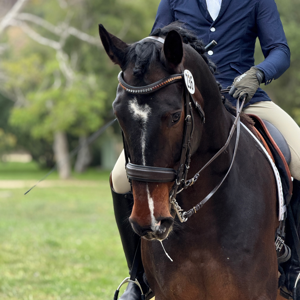 The Sarah - Maple Brown Leather Double Bridle