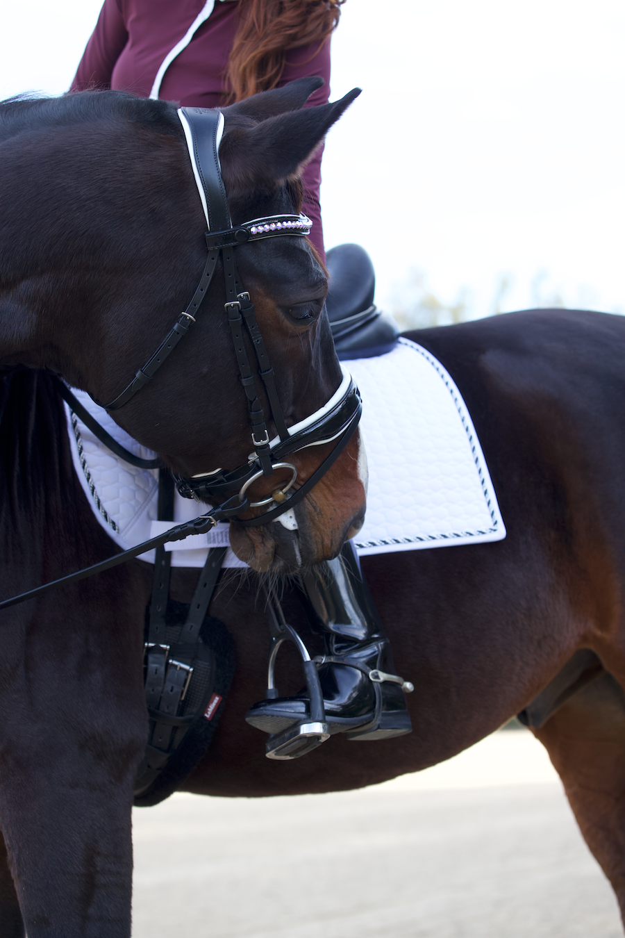 European Cotton Dressage Saddle Pad - White & Black Twist Trim Full