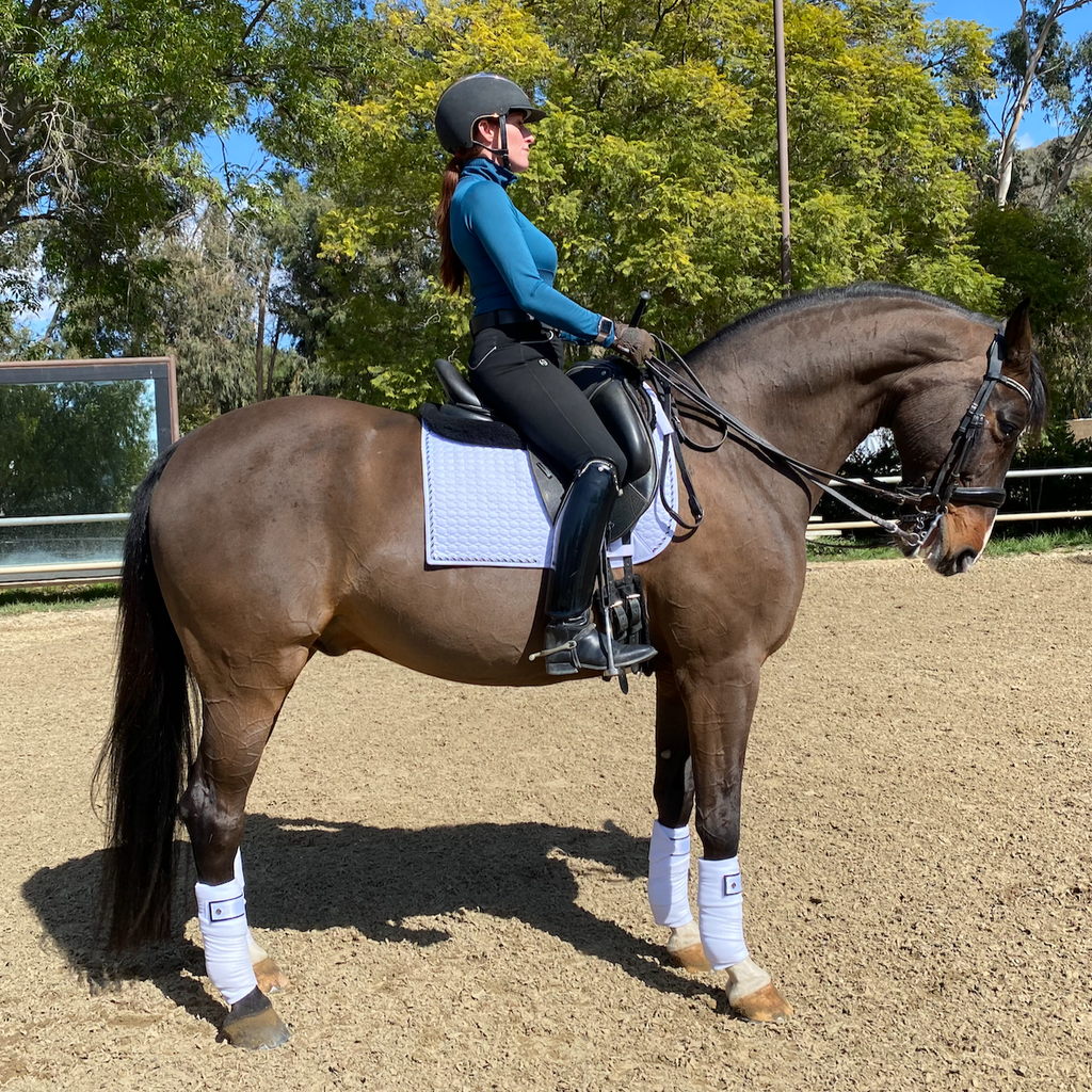 European Cotton Dressage Saddle Pad - White & Black Twist Trim Full