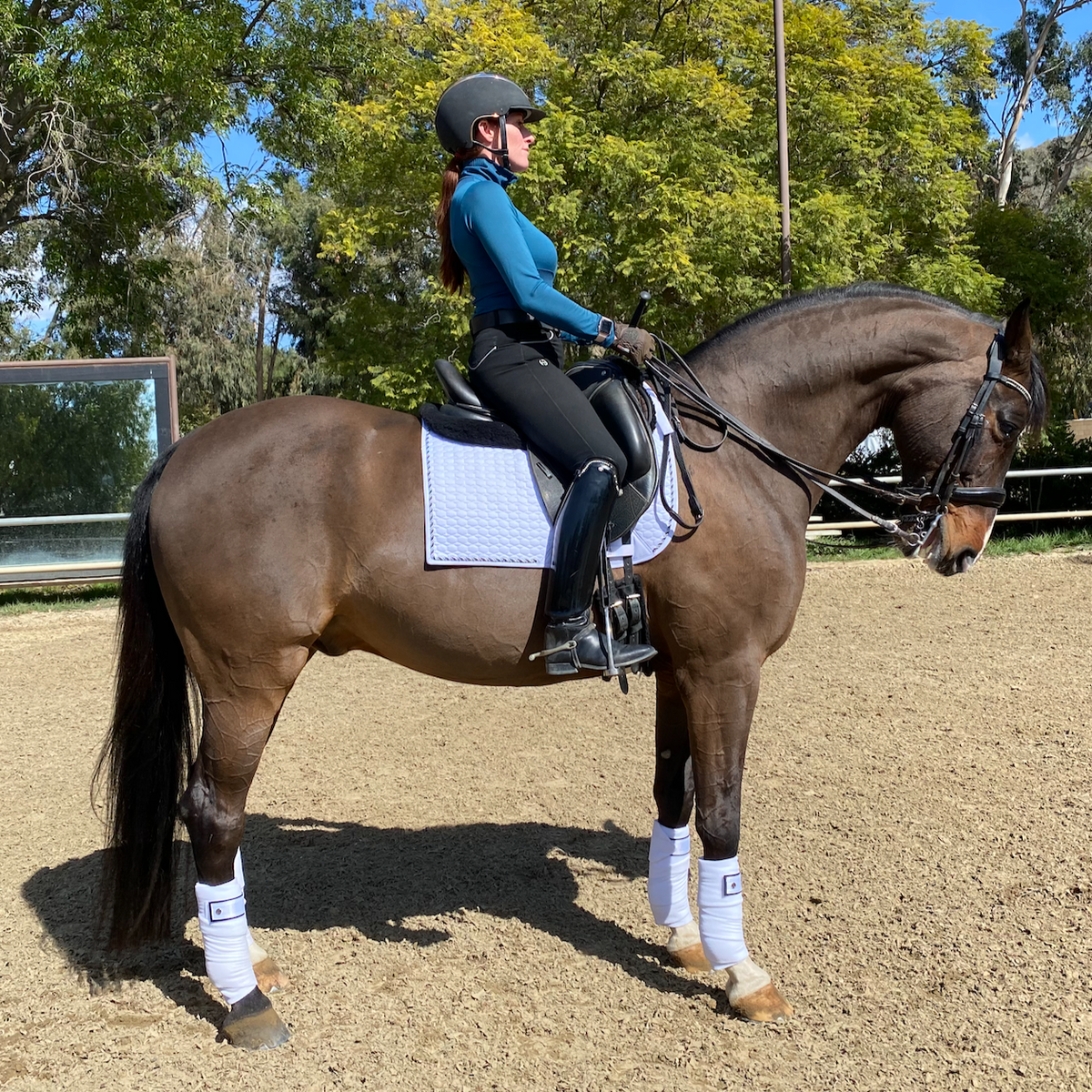 European Cotton Dressage Saddle Pad - White & Black Twist Trim Full
