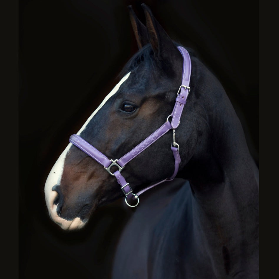 Leather Halter With Top Stitching - Violet Purple