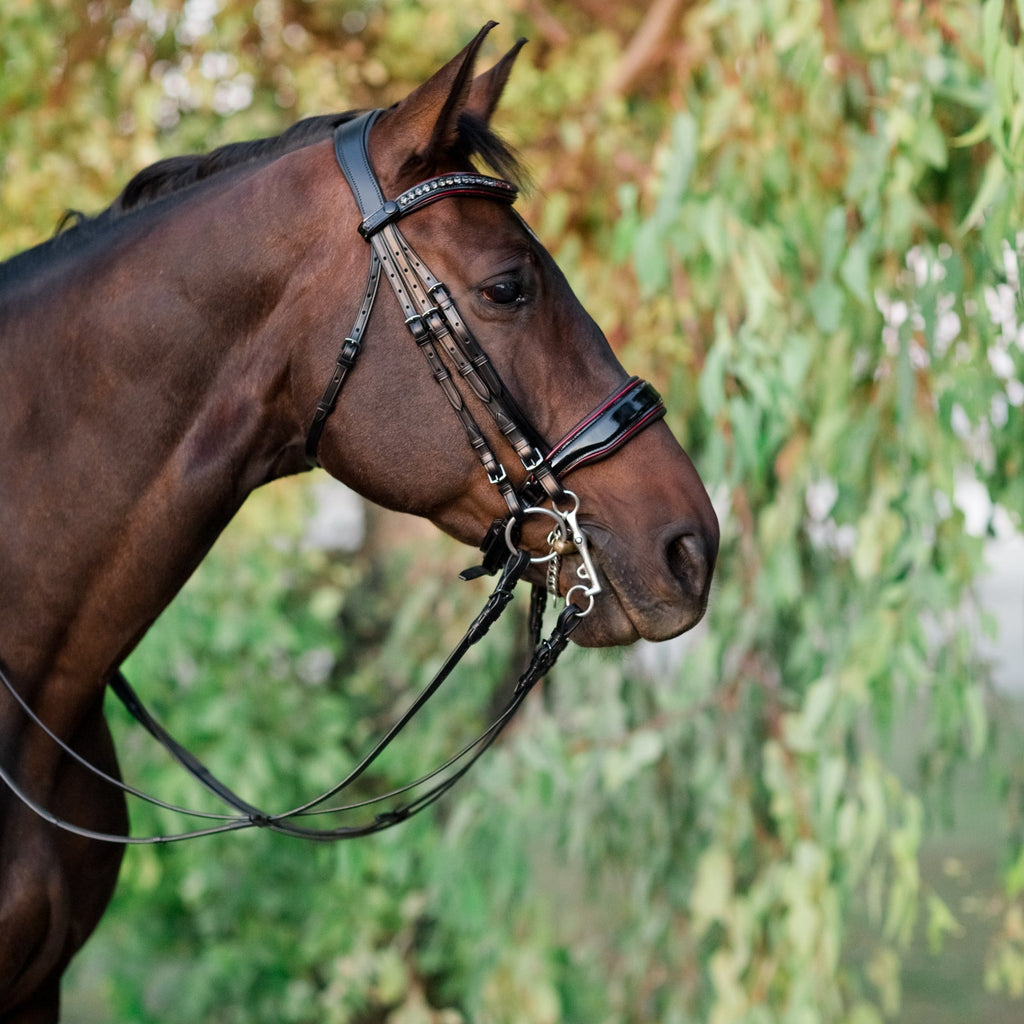 The Hayworth Double - Black Patent Double Bridle