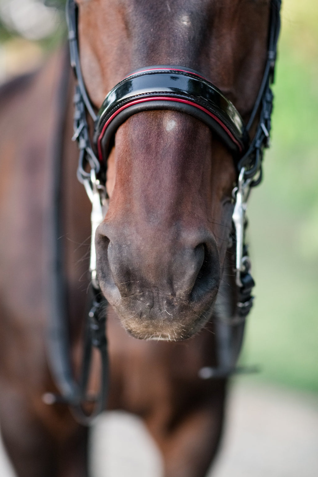 The Hayworth Double - Black Patent Double Bridle